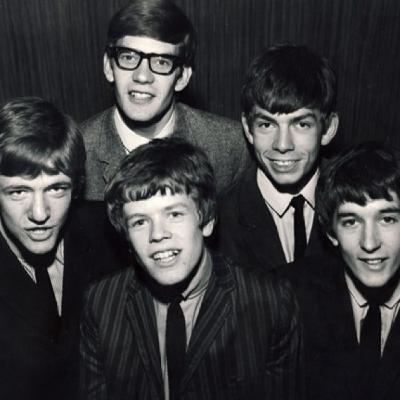 El Bello Verano 8 - Hollies, Herman Hermits, Zombies, ELO, Supertramp, Ramones...