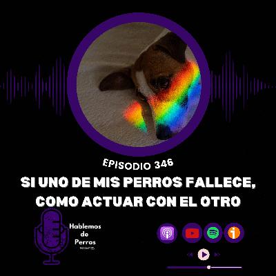Ep#346: Cómo actuar si uno de mis dos perretes fallece