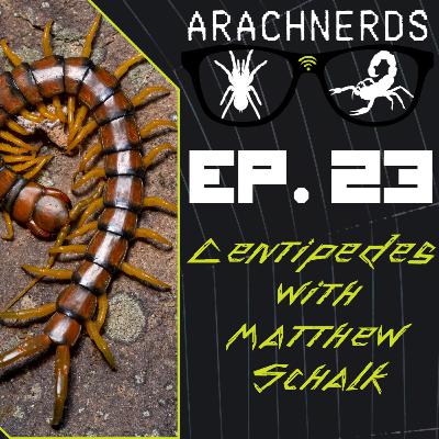 Centipedes with Matthew Schalk| ArachNerds Ep. 23