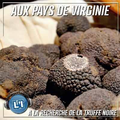 Melano mon amour, à la recherche de la truffe noire