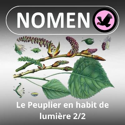 S04E44 Le Peuplier en habit de lumière 2/2