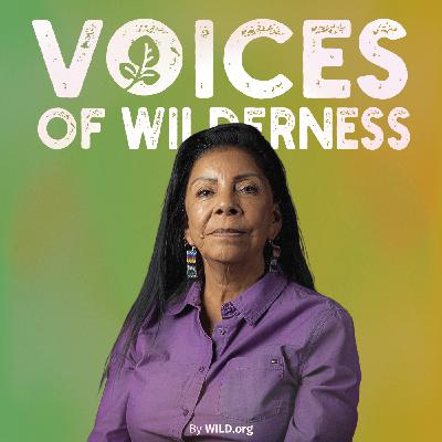 (60) "Bringing Indigenous Peoples’ Voices to the Table, Motion 96 and 107" with Vivian Delgado