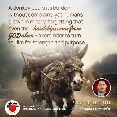 A donkey bears its burden without complaint by Prophet NathanOr