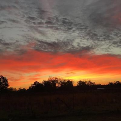 Tetaplah Berbuat Baik walauPun di kecewakan