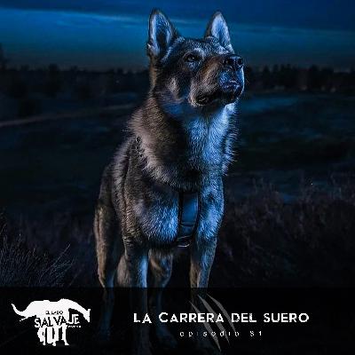 La Carrera Del Suero