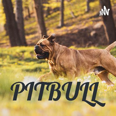 TODO SOBRE LOS PITBULL