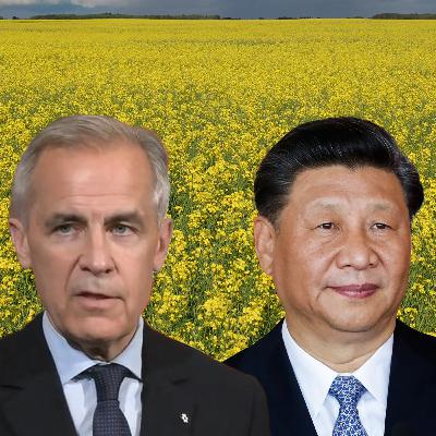 Wait, We're Also in a Trade War with China?