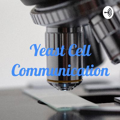 Yeast cell communication