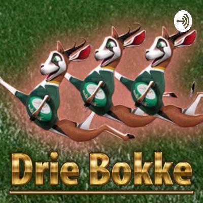 Drie Bokke, A Ball & BlitzBOD: SuperFan Saturday, Green v Gold Showdown, Cheetahs & Pro 14, RC Player Availability