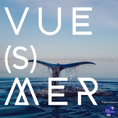 Ecouter la mer