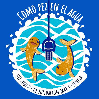 Boicot a la crisis climática