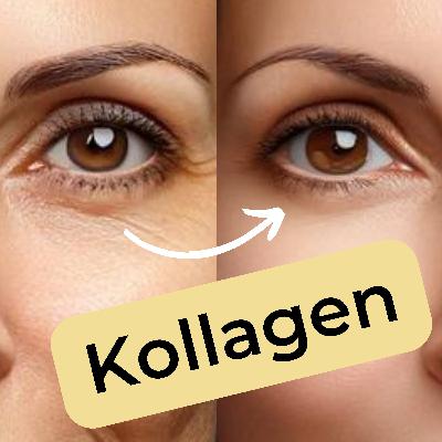 Kollagen: Mythos oder Wundermittel? Ein kritischer Blick mit Arne & Wadim Kollagen: Mythos oder Wundermittel? Ein kritischer Blick mit Arne & Wadim