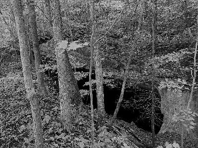 Terror Underground Terror Underground