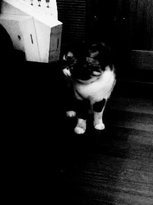 L’oracle de la semaine depuis le 2/3 décembre 2025 L’oracle de la semaine depuis le 2/3 décembre 2025