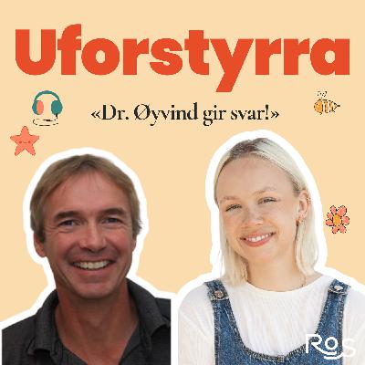 #11 | Dr. Øyvind gir svar