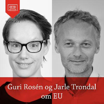 Guri Rosén og Jarle Trondal om EU - Podcast fra Universitetsforlaget