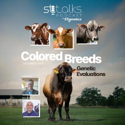STtalks #356 - Colored Breeds December 2025 Genetic Evaluations with Kevin Ziemba & David Kendall