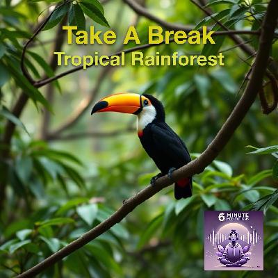 Rainforest Relaxation Meditation