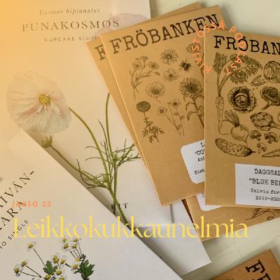 Leikkokukkaunelmia