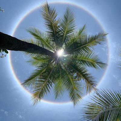 Mellow Vibes Podcast E2