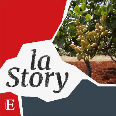 L'épopée de la relance de la pistache en Provence
