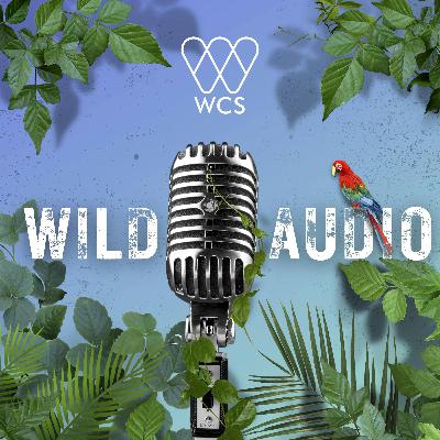 S6 E2: Stories That Inspire, Films That Matter | REEL WILD™ New York Film Festival