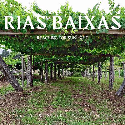 S2E1: Rias Baixas: Reaching for Sunlight with Katia Alvarez of Martín Codax