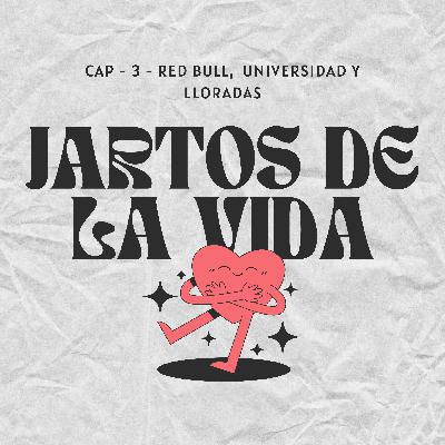 CAP - 3 - RED BULL, UNIVERSIDAD Y LLORADAS CAP - 3 - RED BULL, UNIVERSIDAD Y LLORADAS