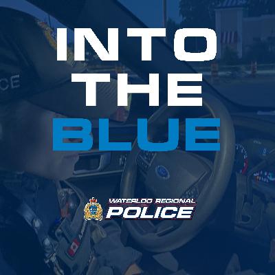 Putting the Skills to Work