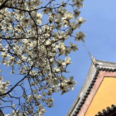 61、财富不自由真幸福啊