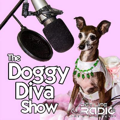 The Doggy Diva Show - Episode 181 K-9 Mystery Author Margaret Mizushima