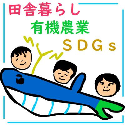 #222-1/MS① マーさんのコインランドリーカフェ