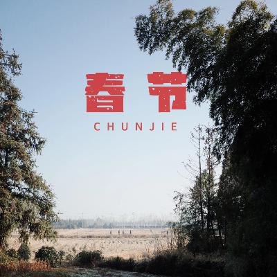 回家过年，大抵是去为了见那个小时候的自己和家人吧！