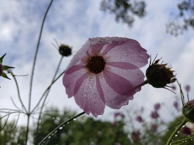 Les livres de croissance personnelle