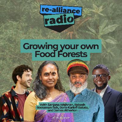Growing your own Food Forest. If you want to establish a perennial, biodiverse and regenerative food system, where do you start?