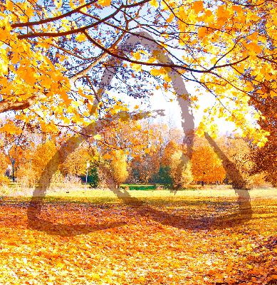 1 Thessalonians 4:11-12