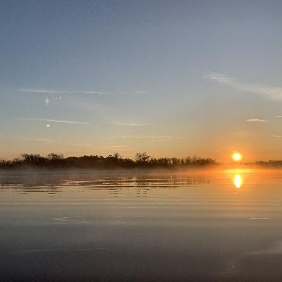 Who flipped the switch?