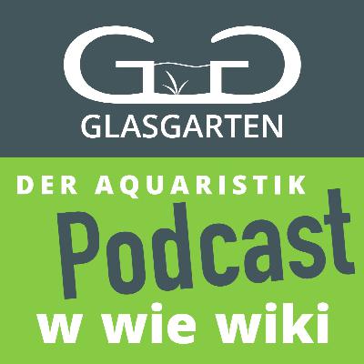 Die Wurzellose-Zwergwasserlinse #Wiki Podcast 107