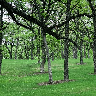 Breathing at One With the Monks by Ira Progoff
