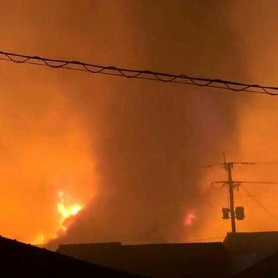 11月24日 19時の最新ニュース