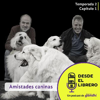 Segunda temporada, Capítulo 1: Amistades caninas