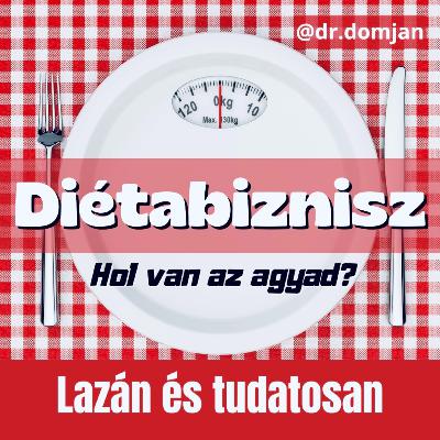 VI/1. Diétabiznisz – Hol van az agyad?