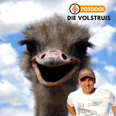 God in die Volstruis