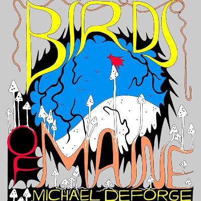 #65 - Birds of Maine