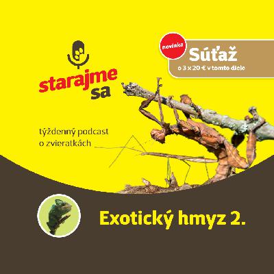 Teraristika: Exotický hmyz 2. Teraristika: Exotický hmyz 2.