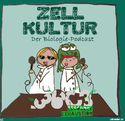 ZK021 Live auf dem #36c3