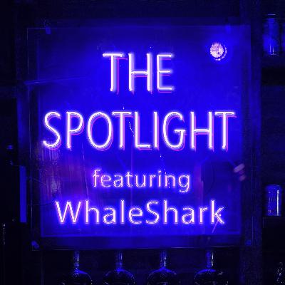 [Spotlight] Mining Metaverse Alpha with WhaleShark