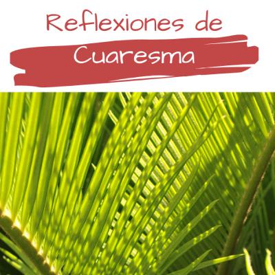 Domingo de Ramos Domingo de Ramos