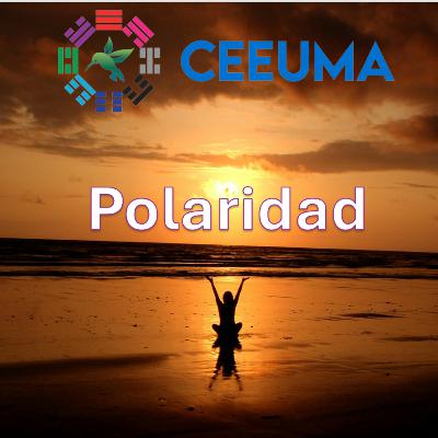 Terapia de Polaridad, Episodio 3
