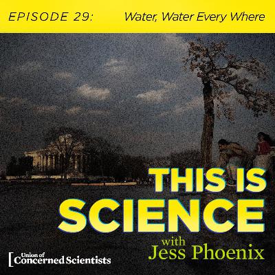 Water, Water Every Where